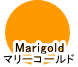 ラッキーカラー「Marigold（マリーゴールド）」